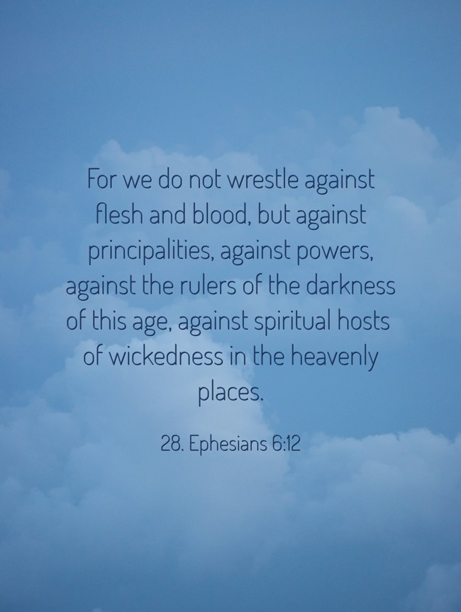 For we do not wrestle against flesh and blood, but against principalities, against powers, against the rulers of the darkness of this age, against spiritual hosts of wickedness in the heavenly places. - 28. Ephesians 6:12