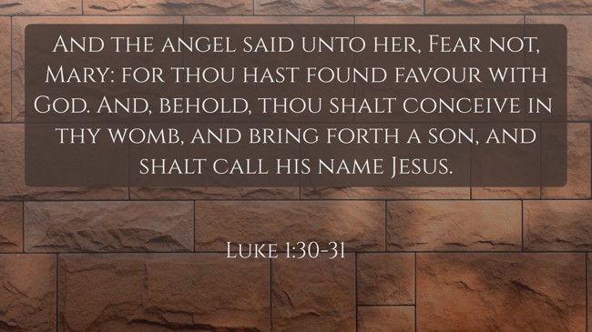 And the angel said unto her, Fear not, Mary: for thou hast found favour with God. And, behold, thou shalt conceive in thy womb, and bring forth a son, and shalt call his name Jesus. - Luke 1:30-31