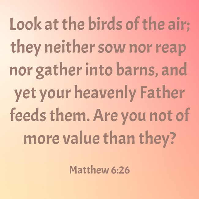  Look at the birds of the air; they neither sow nor reap nor gather into barns, and yet your heavenly Father feeds them. Are you not of more value than they?   - Matthew 6:26 