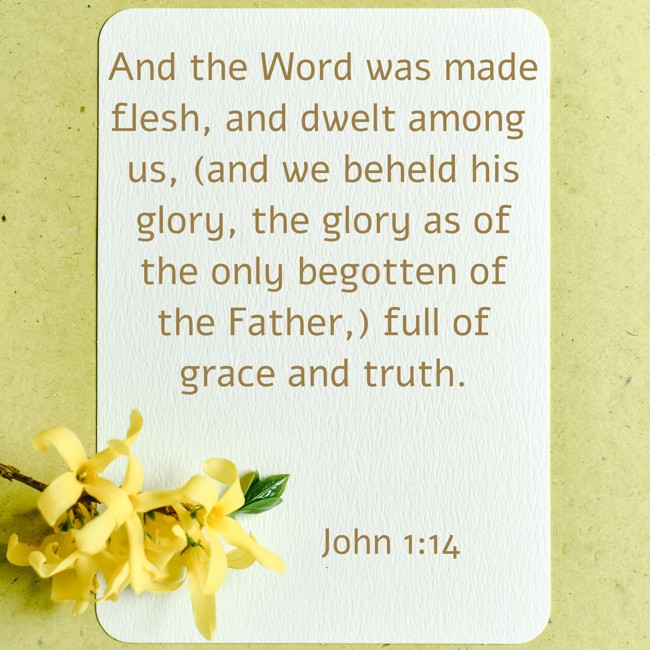 And the Word was made flesh, and dwelt among us, (and we beheld his glory, the glory as of the only begotten of the Father,) full of grace and truth. - John 1:14
