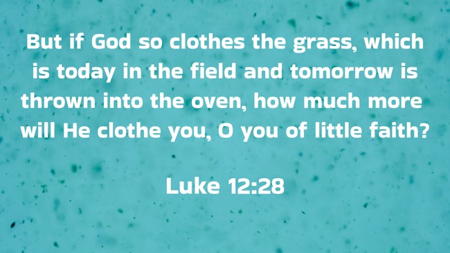  But if God so clothes the grass, which is today in the field and tomorrow is thrown into the oven, how much more will He clothe you, O you of little faith?   - Luke 12:28 
