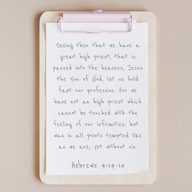 Seeing then that we have a great high priest, that is passed into the heavens, Jesus the Son of God, let us hold fast our profession. For we have not an high priest which cannot be touched with the feeling of our infirmities; but was in all points tempted like as we are, yet without sin. - Hebrews 4:14-15