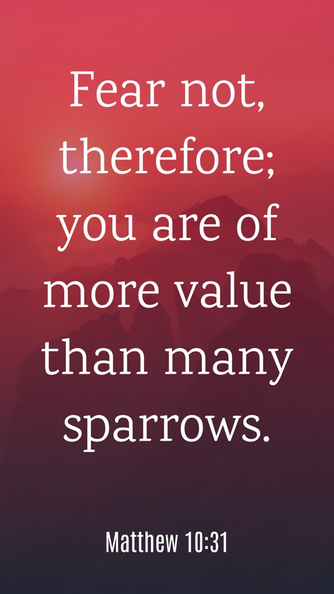  Fear not, therefore; you are of more value than many sparrows.   - Matthew 10:31 