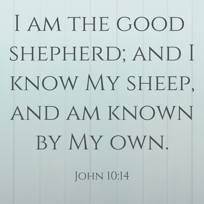  I am the good shepherd; and I know My sheep, and am known by My own.   - John 10:14 