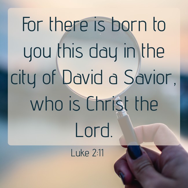 For there is born to you this day in the city of David a Savior, who is Christ the Lord. - Luke 2:11