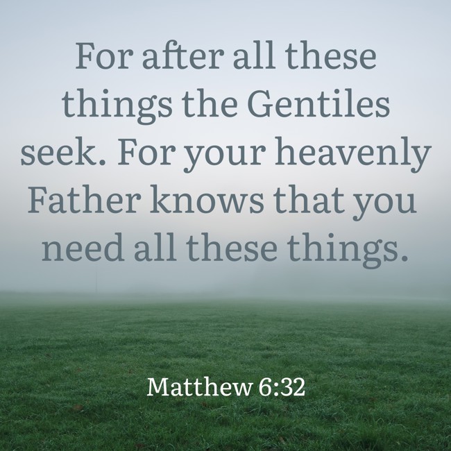  For after all these things the Gentiles seek. For your heavenly Father knows that you need all these things.   - Matthew 6:32 