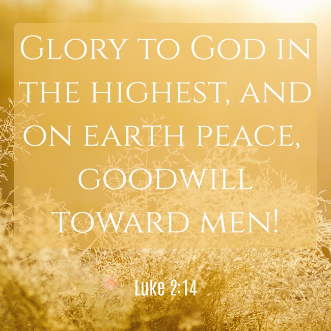 Glory to God in the highest, and on earth peace, goodwill toward men! - Luke 2:14