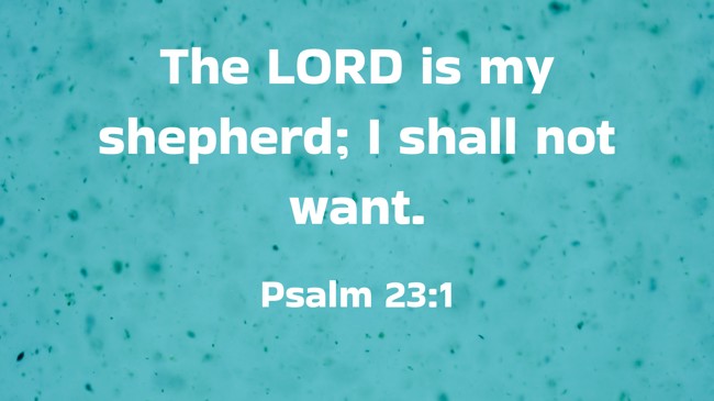  The LORD is my shepherd; I shall not want.   - Psalm 23:1 