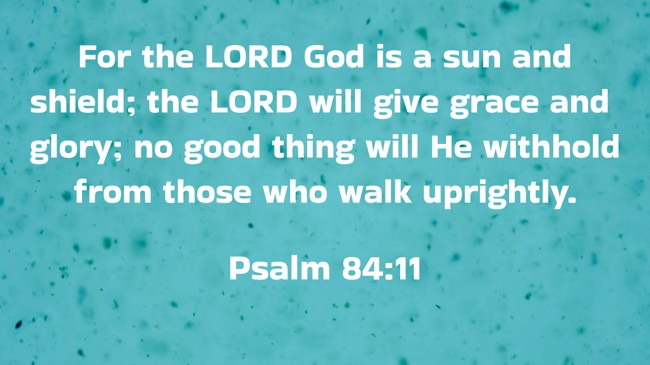  For the LORD God is a sun and shield; the LORD will give grace and glory; no good thing will He withhold from those who walk uprightly.   - Psalm 84:11 