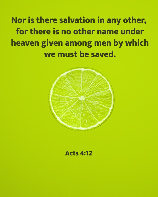 Nor is there salvation in any other, for there is no other name under heaven given among men by which we must be saved. - Acts 4:12