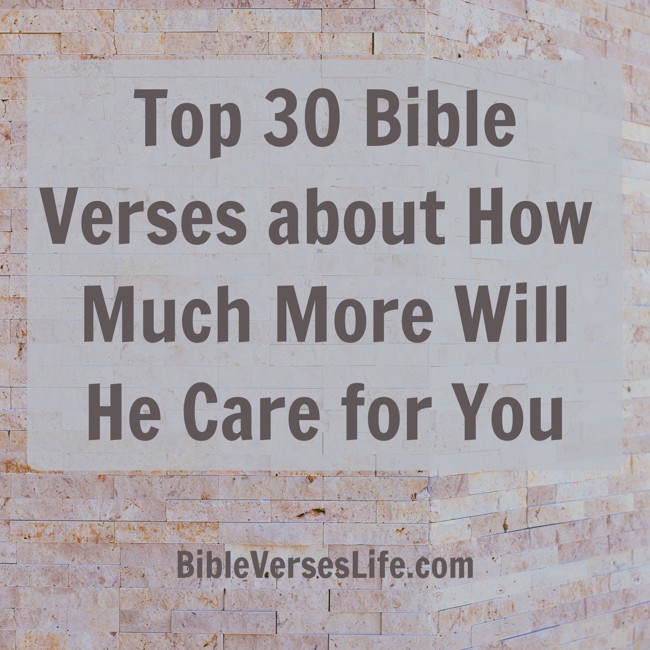 Top 30 Bible Verses about How Much More Will He Care for You