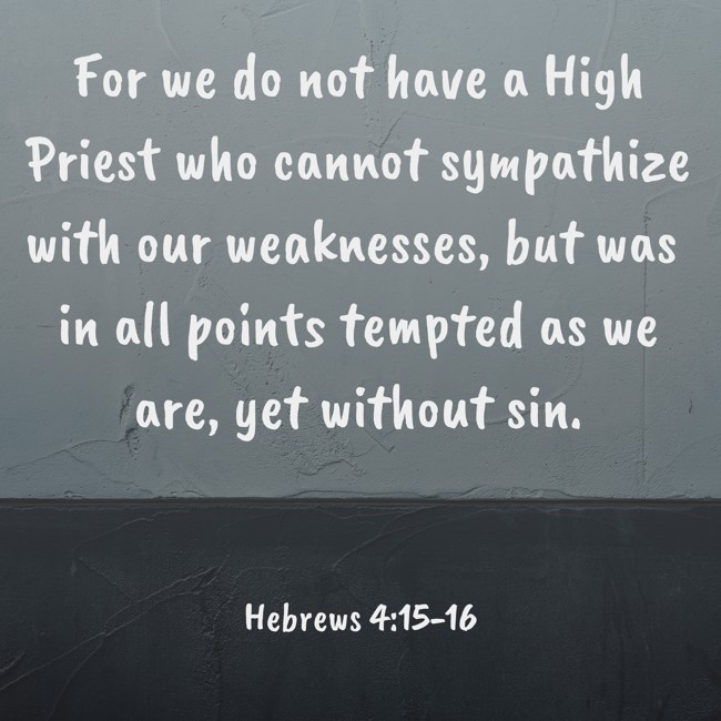 For we do not have a High Priest who cannot sympathize with our weaknesses, but was in all points tempted as we are, yet without sin. - Hebrews 4:15-16