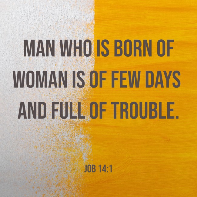 Man who is born of woman is of few days and full of trouble. - Job 14:1