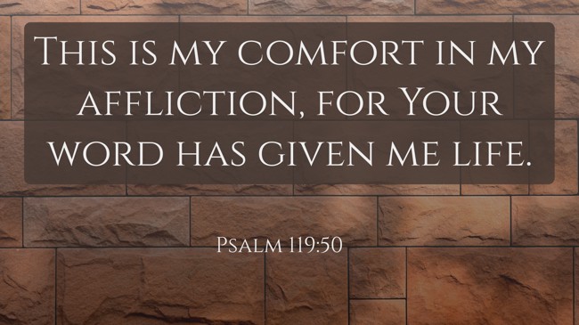 This is my comfort in my affliction, for Your word has given me life. - Psalm 119:50
