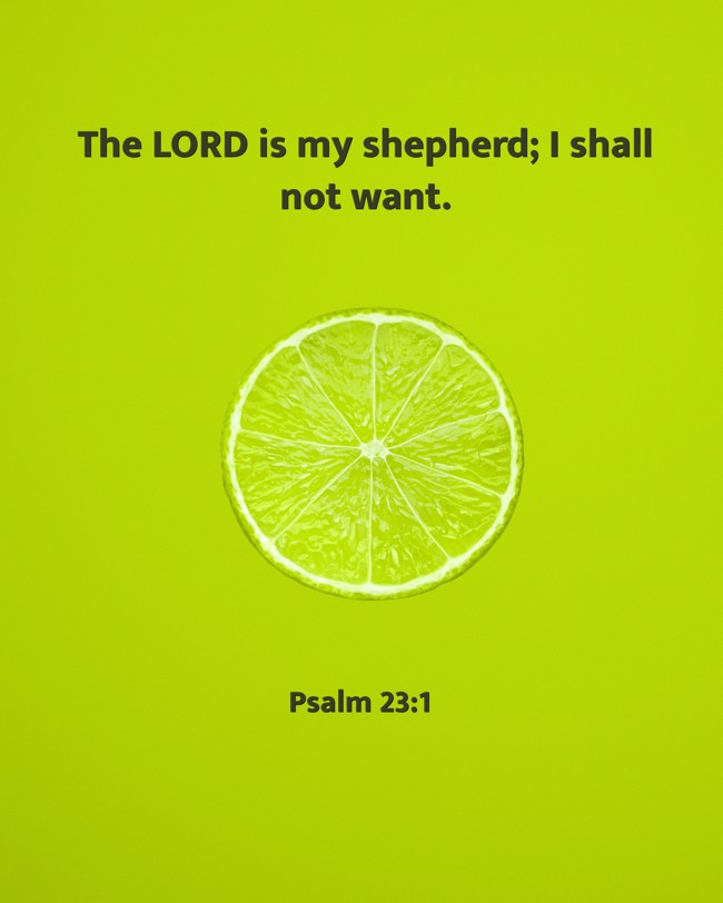 The LORD is my shepherd; I shall not want. - Psalm 23:1
