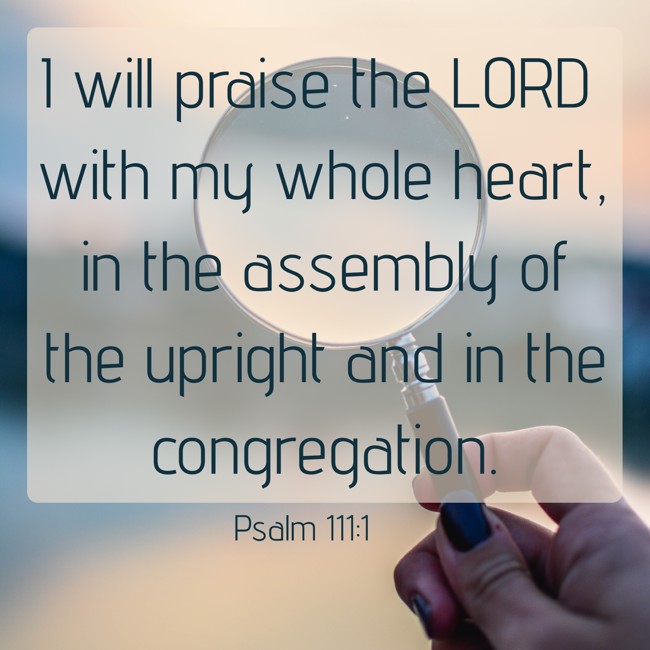 I will praise the LORD with my whole heart, in the assembly of the upright and in the congregation. - Psalm 111:1