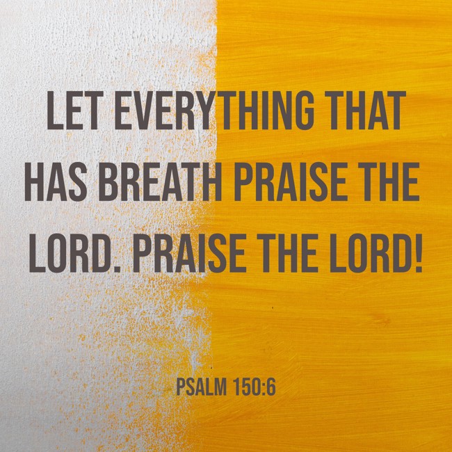 Let everything that has breath praise the LORD. Praise the LORD! - Psalm 150:6