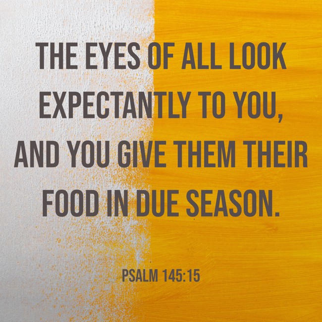 The eyes of all look expectantly to You, and You give them their food in due season. - Psalm 145:15