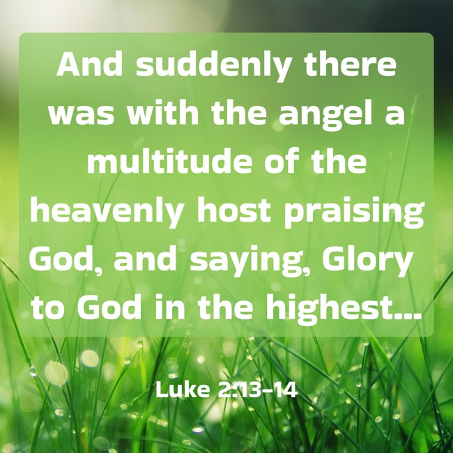 And suddenly there was with the angel a multitude of the heavenly host praising God, and saying, Glory to God in the highest... - Luke 2:13-14