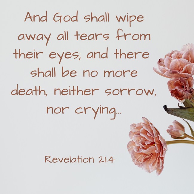 And God shall wipe away all tears from their eyes; and there shall be no more death, neither sorrow, nor crying... - Revelation 21:4