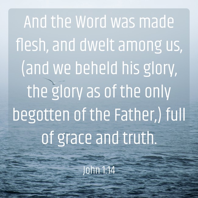 And the Word was made flesh, and dwelt among us, (and we beheld his glory, the glory as of the only begotten of the Father,) full of grace and truth. - John 1:14