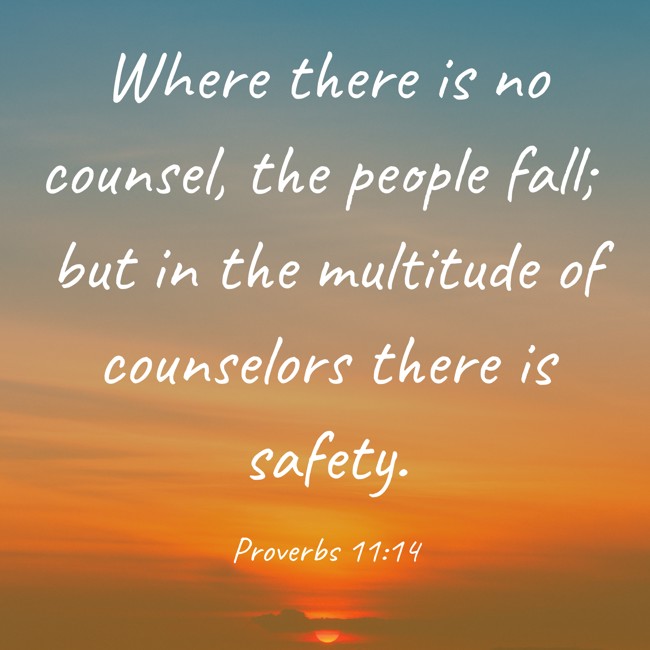 Where there is no counsel, the people fall; but in the multitude of counselors there is safety. - Proverbs 11:14