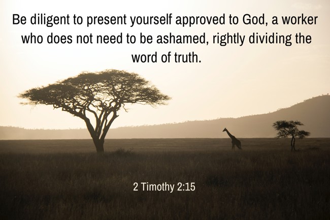 Be diligent to present yourself approved to God, a worker who does not need to be ashamed, rightly dividing the word of truth. - 2 Timothy 2:15
