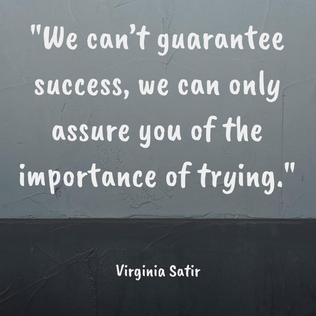 We can’t guarantee success, we can only assure you of the importance of trying. - Virginia Satir