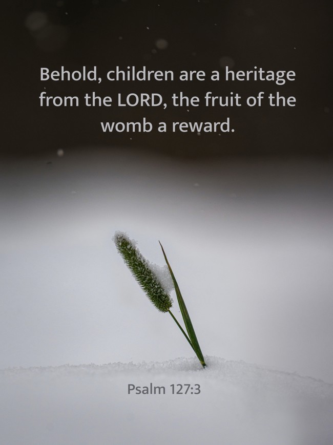 Behold, children are a heritage from the LORD, the fruit of the womb a reward. - Psalm 127:3