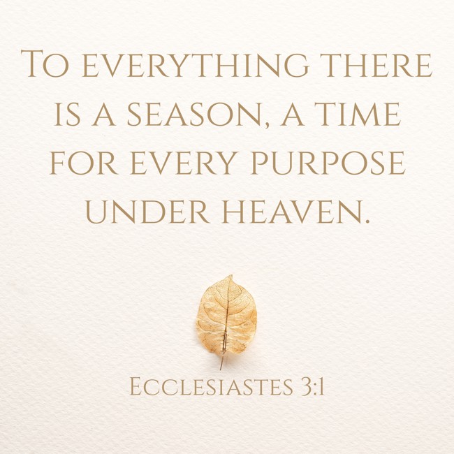 To everything there is a season, a time for every purpose under heaven. - Ecclesiastes 3:1