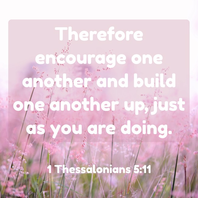 Therefore encourage one another and build one another up, just as you are doing. - 1 Thessalonians 5:11