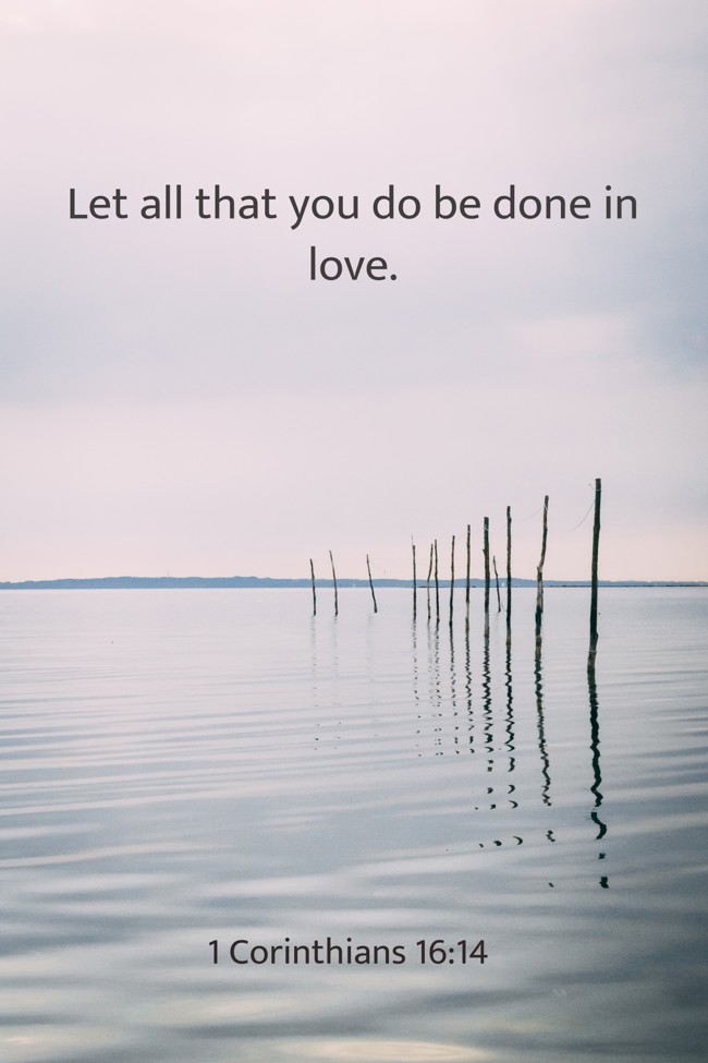 Let all that you do be done in love. - 1 Corinthians 16:14
