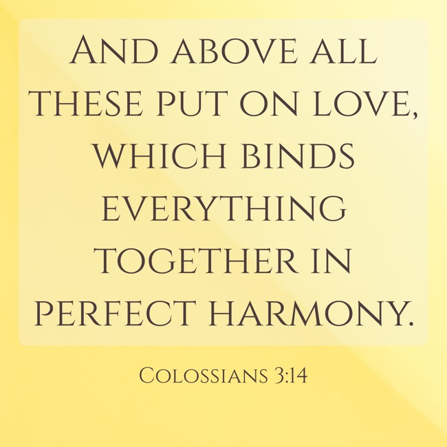 And above all these put on love, which binds everything together in perfect harmony. - Colossians 3:14