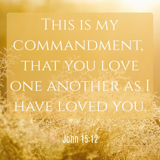 This is my commandment, that you love one another as I have loved you. - John 15:12