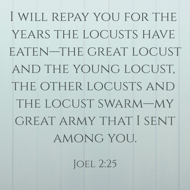I will repay you for the years the locusts have eaten—the great locust and the young locust, the other locusts and the locust swarm—my great army that I sent among you. - Joel 2:25
