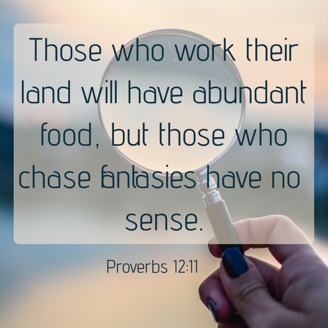 Those who work their land will have abundant food, but those who chase fantasies have no sense. - Proverbs 12:11