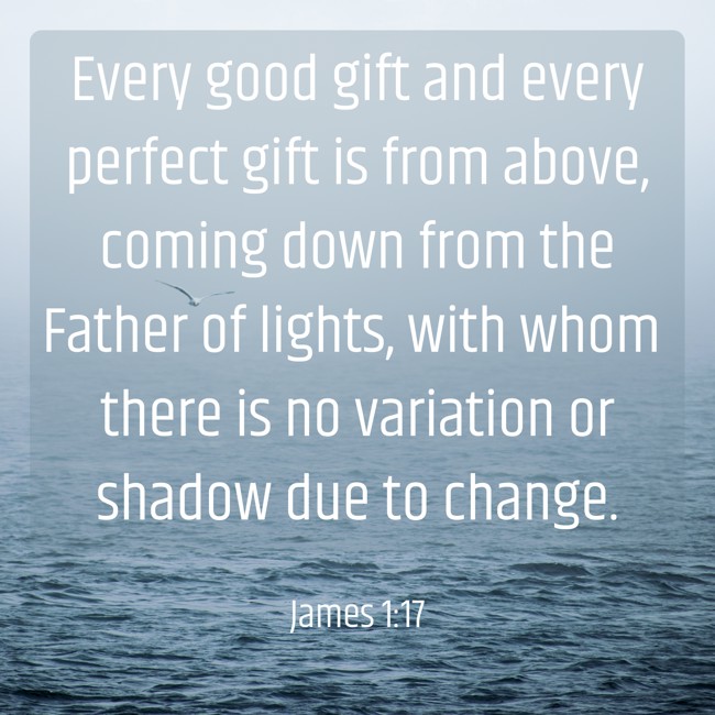 Every good gift and every perfect gift is from above, coming down from the Father of lights, with whom there is no variation or shadow due to change. - James 1:17