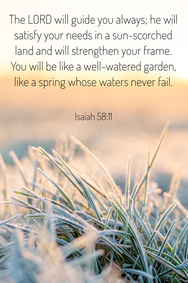 The LORD will guide you always; he will satisfy your needs in a sun-scorched land and will strengthen your frame. You will be like a well-watered garden, like a spring whose waters never fail. - Isaiah 58:11