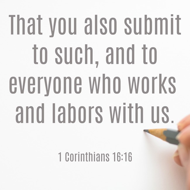 That you also submit to such, and to everyone who works and labors with us. - 1 Corinthians 16:16