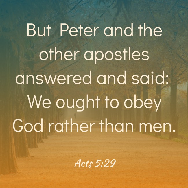 But Peter and the other apostles answered and said: We ought to obey God rather than men. - Acts 5:29