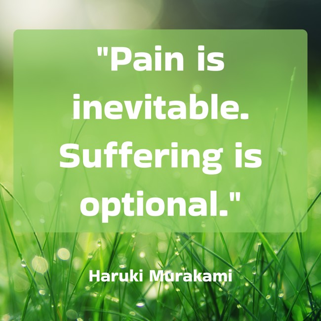Pain is inevitable. Suffering is optional. - Haruki Murakami