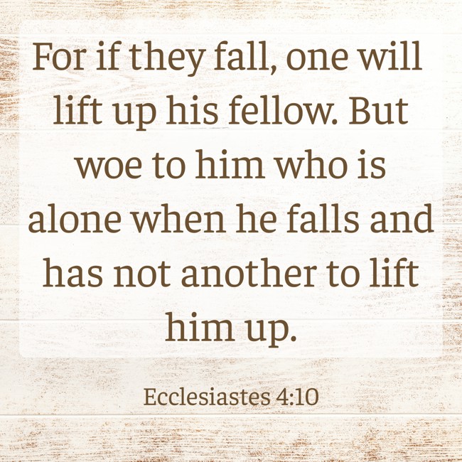  For if they fall, one will lift up his fellow. But woe to him who is alone when he falls and has not another to lift him up.   - Ecclesiastes 4:10 