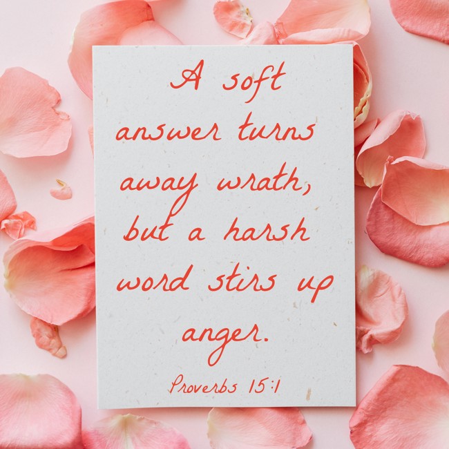 A soft answer turns away wrath, but a harsh word stirs up anger. - Proverbs 15:1