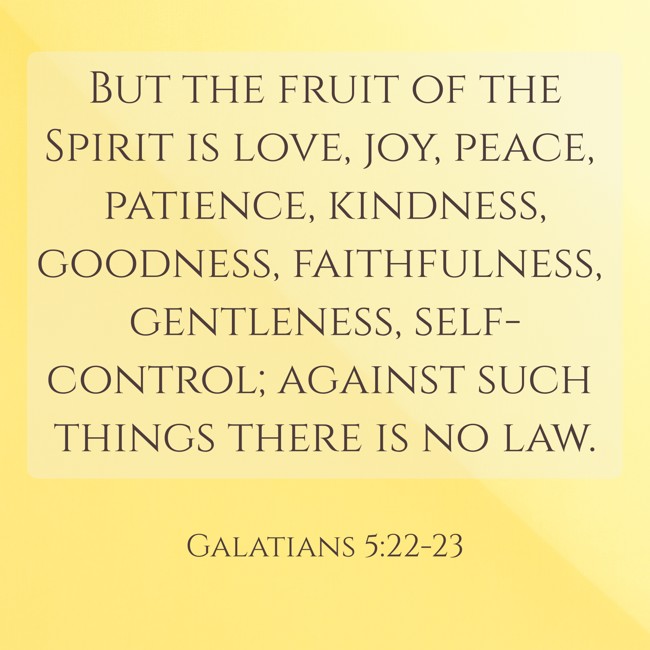 But the fruit of the Spirit is love, joy, peace, patience, kindness, goodness, faithfulness, gentleness, self-control; against such things there is no law. - Galatians 5:22-23