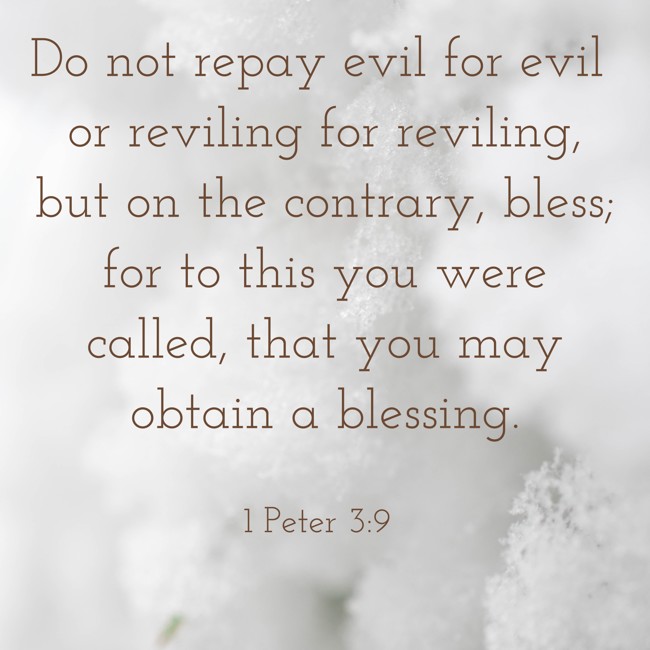 Do not repay evil for evil or reviling for reviling, but on the contrary, bless; for to this you were called, that you may obtain a blessing. - 1 Peter 3:9