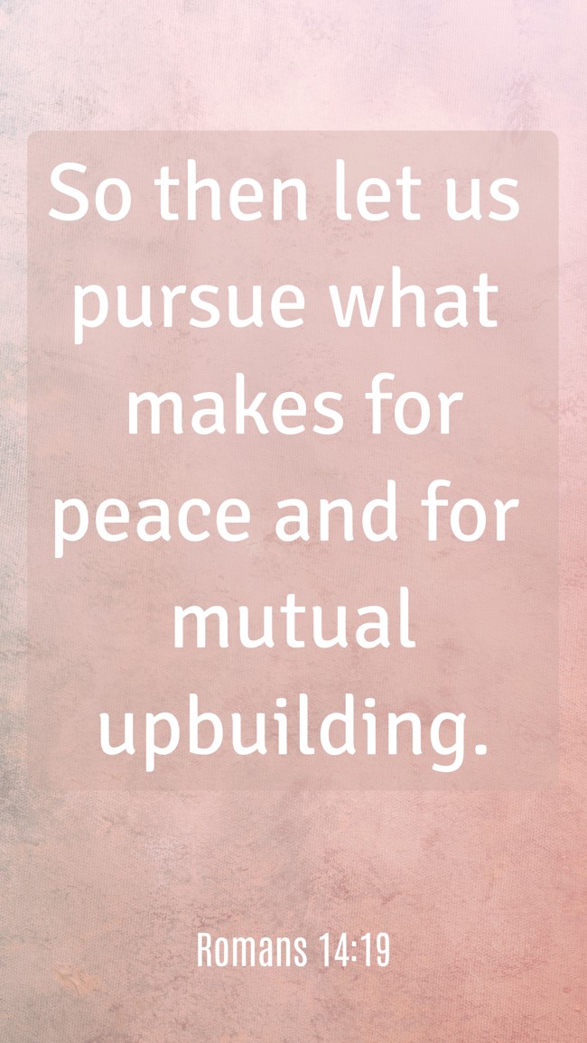 So then let us pursue what makes for peace and for mutual upbuilding. - Romans 14:19
