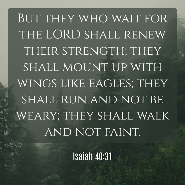  But they who wait for the LORD shall renew their strength; they shall mount up with wings like eagles; they shall run and not be weary; they shall walk and not faint.   - Isaiah 40:31 