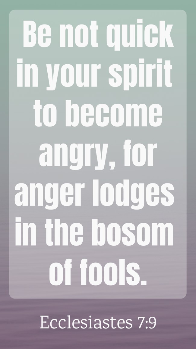 Be not quick in your spirit to become angry, for anger lodges in the bosom of fools. - Ecclesiastes 7:9