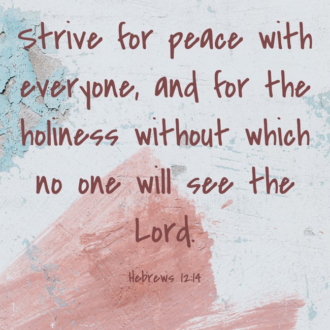 Strive for peace with everyone, and for the holiness without which no one will see the Lord. - Hebrews 12:14