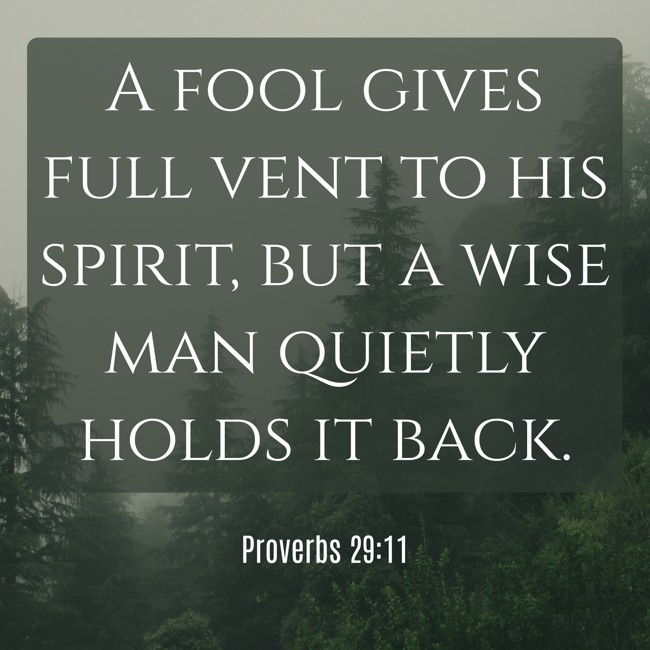 A fool gives full vent to his spirit, but a wise man quietly holds it back. - Proverbs 29:11